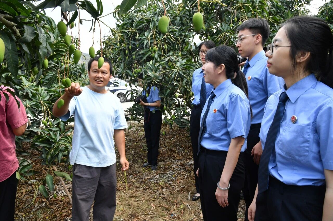 广西：以法治力量守好八桂土特产金字招牌 
